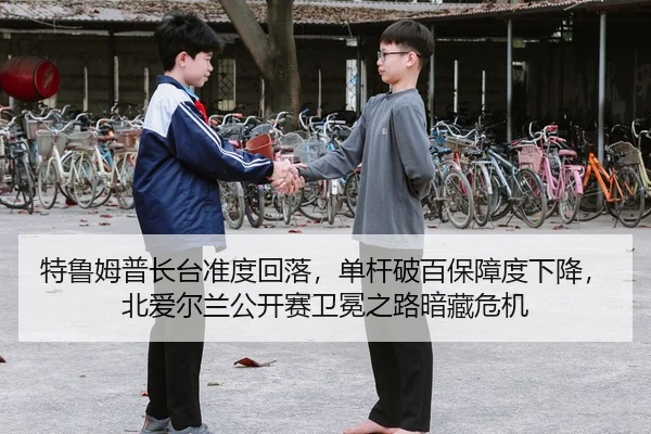te-lu-mu-pu-zhang-tai-zhun-du-hui-luo-dan-gan-po-bai-bao-zhang-du-xia-jiang-bei-ai-er-lan-gong-kai-sai-wei-mian-zhi-lu-2-786.jpg